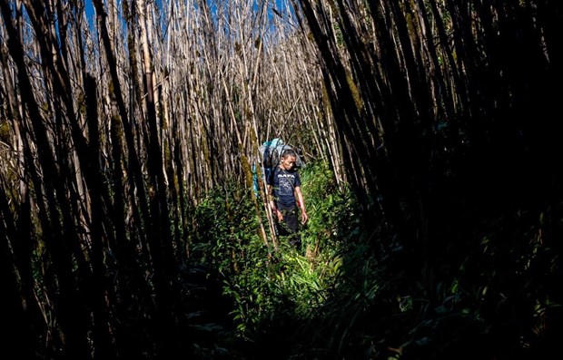 First Vietnamese joins World Press Photo Contest jury