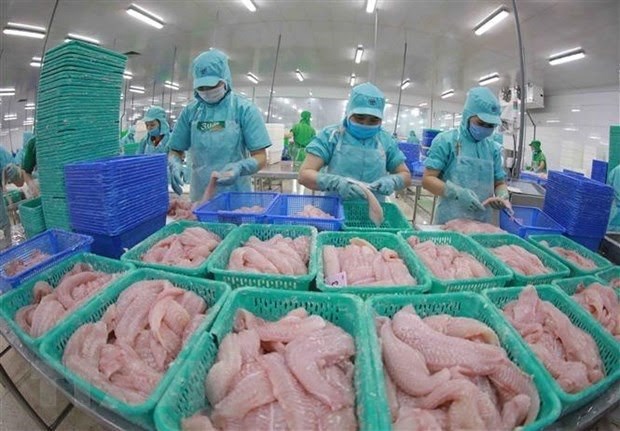 Tra fish exports predicted to hit 1 7 billion USD this year