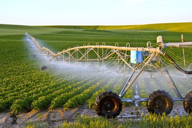 Digital transformation - way out for agricultural sector amid difficulties