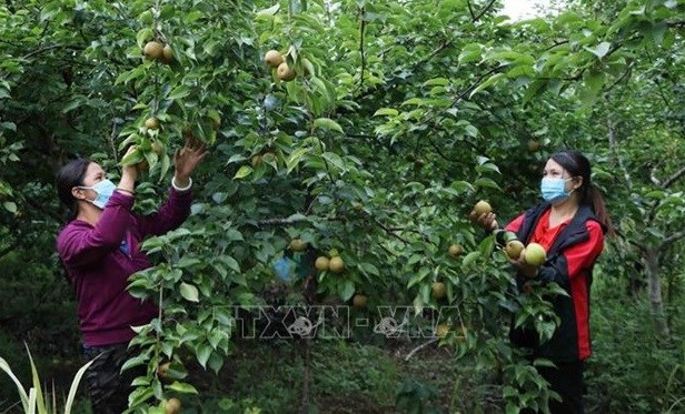 Gov’t approves 2021-2025 national target programme on sustainable poverty reduction