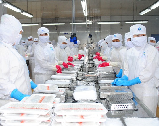 Ca Mau earns 1 1 billion from exports in 2021