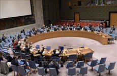 Vietnam hopes all parties increase dialogue on Korean Peninsula issue
