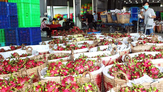Southern city promotes trade of key agricultural products