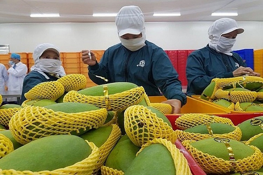 Fruit and vegetable exports fetch 300 million USD in first month of 2022