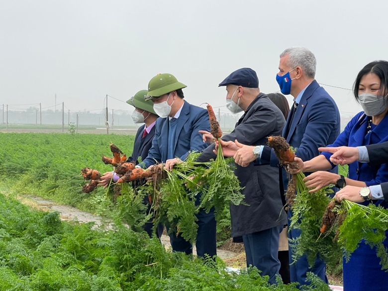 Hai Duong has much potential for businesses to invest in Italian Ambassador