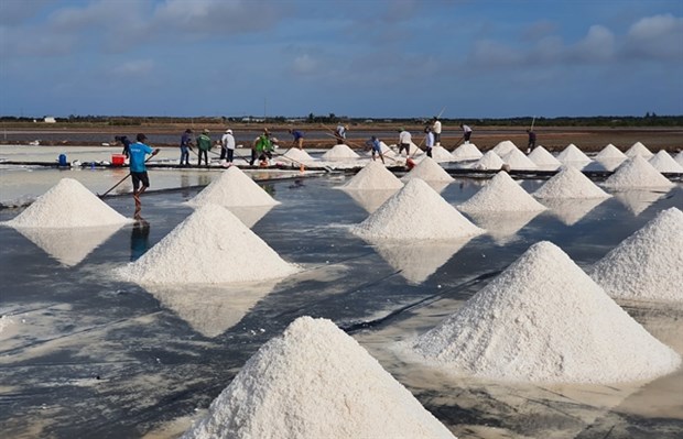Vietnam’s salt industry must adapt official