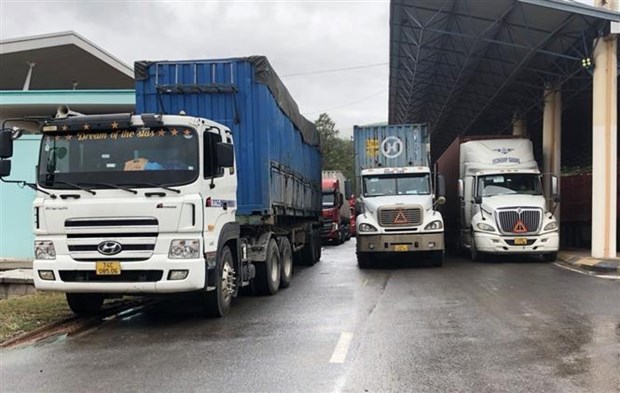 Export and import through international border gates in Quang Tri rise