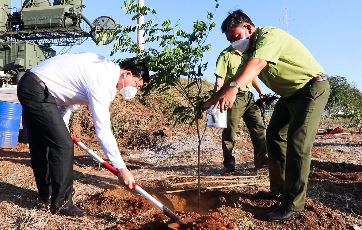 Ba Ria-Vung Tau plants 305ha of forest in 2022
