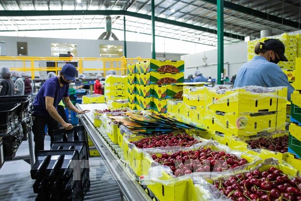 Australia welcomes Vietnamese with agriculture visas
