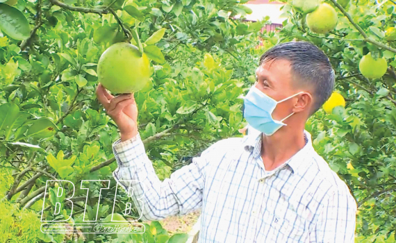 Thai Binh farmers study and follow Uncle Ho