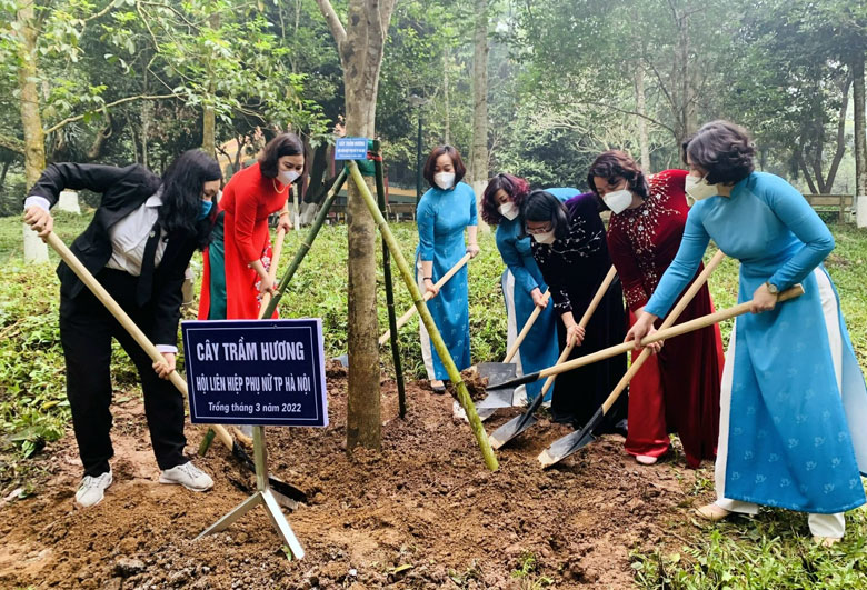 Hanoi launches tree-planting festival among women