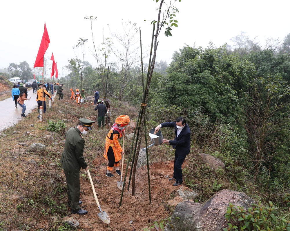 Bac Giang plants over 1 5 million trees in celebration of tree-planting festival