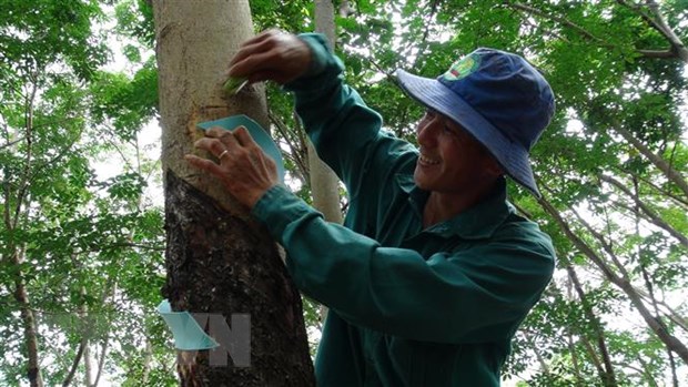 Vietnam is 3rd largest rubber supplier to RoK
