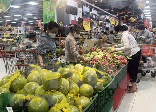 Ho Chi Minh City’s CPI edges up 0 86 percent in February