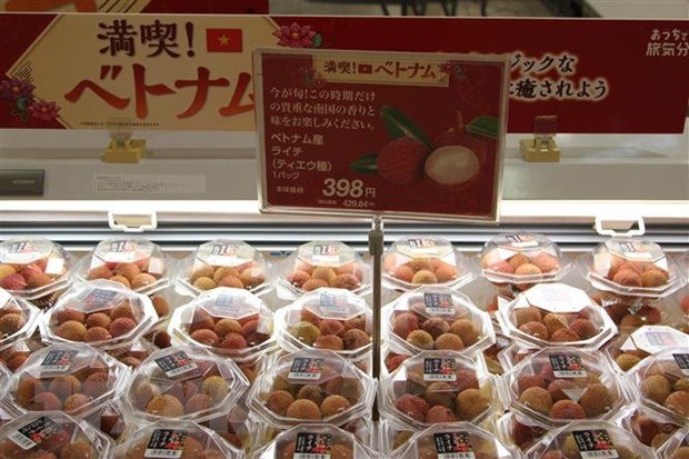 Vietnam, Japan hold favourable conditions for trade expansion experts