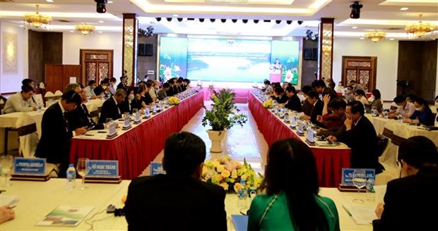 Gia Lai introduces strengths, potential to foreign partners