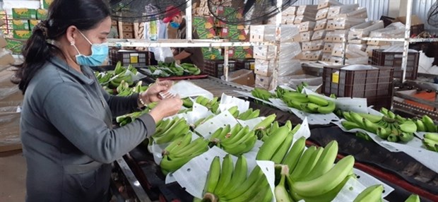 Vietnam strives for export growth rate of 5-6 percent in 2021-2030