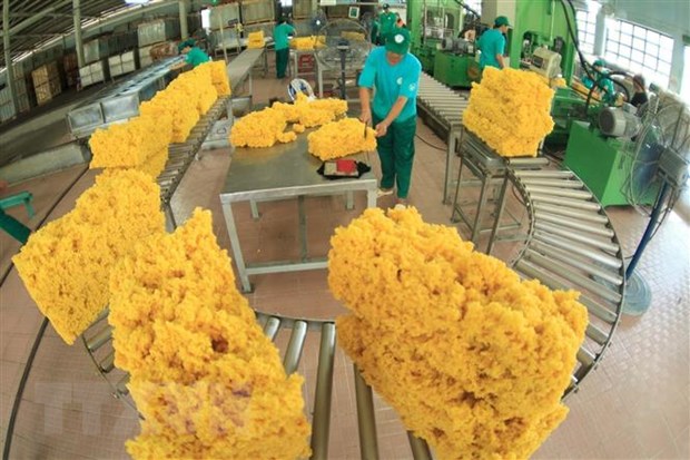 Vietnam’s exports to Australia rise sharply
