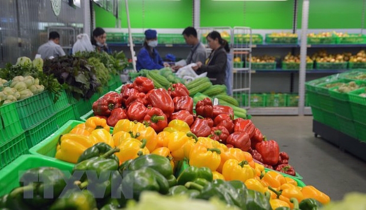 Vietnam among largest vegetable suppliers to Taiwan China
