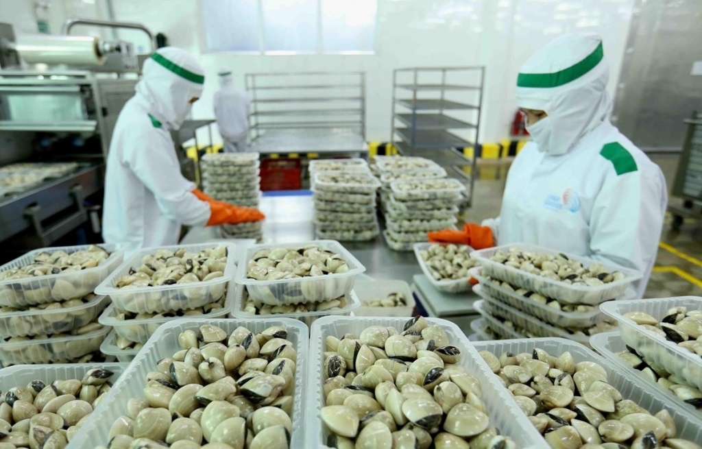 Vietnam’s molluscs exported to 42 markets