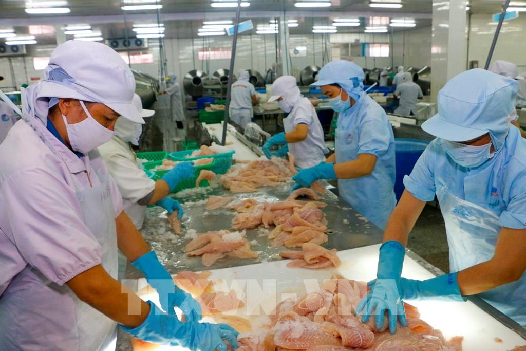 Vietnam to continue to increase seafood exports to EU