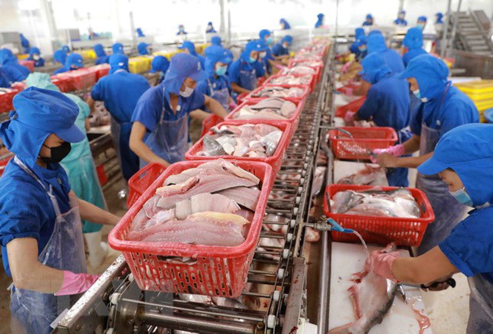 Seafood export exceeds 1 billion dollars in a month for first time