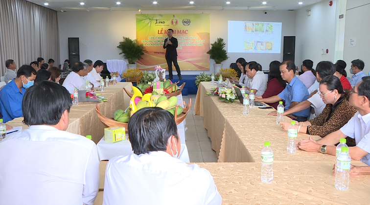 Dong Thap opens mango and key fruit week