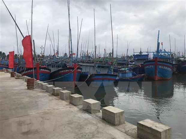 Vietnam to have 184 fishing ports by 2050 draft plan