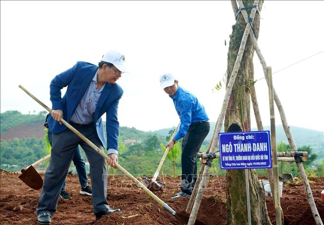 Dak Nong strives to plant nearly 3 million green trees in 2022