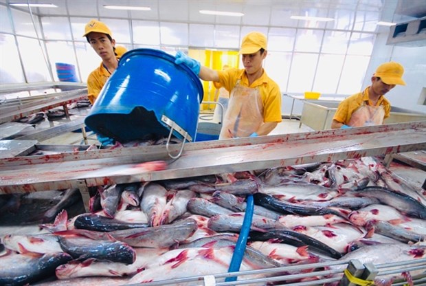Pangasius exports to US rise sharply