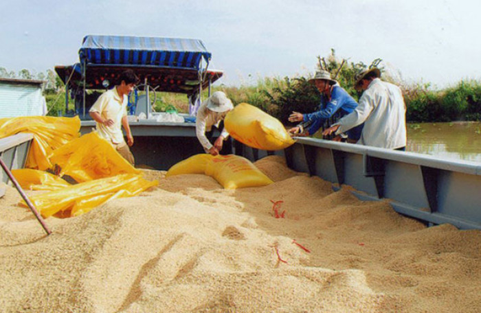 Vietnam’s rice export surpasses 1 billion USD