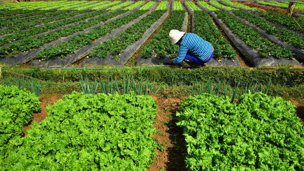 USD250 million loan to help Philippines deliver on climate ambitions