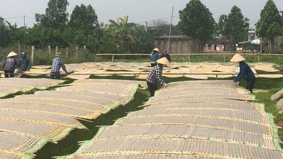 Vietnamese noodles gain easier entry to EU