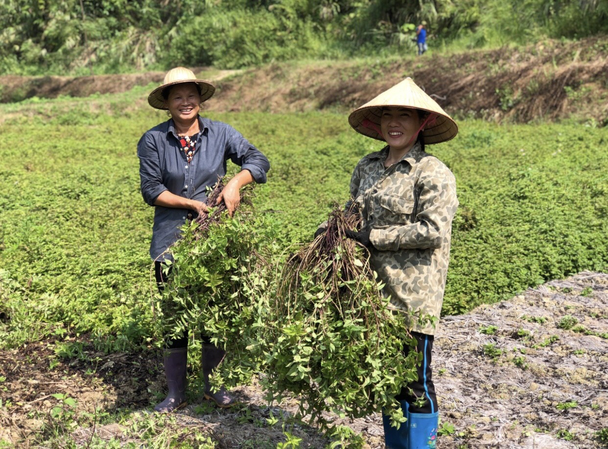 IFAD supports Vietnam’s agriculture and rural development to respond to climate change