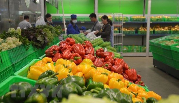 Five-month fruit and vegetable export turnover reaches 1 4 billion USD
