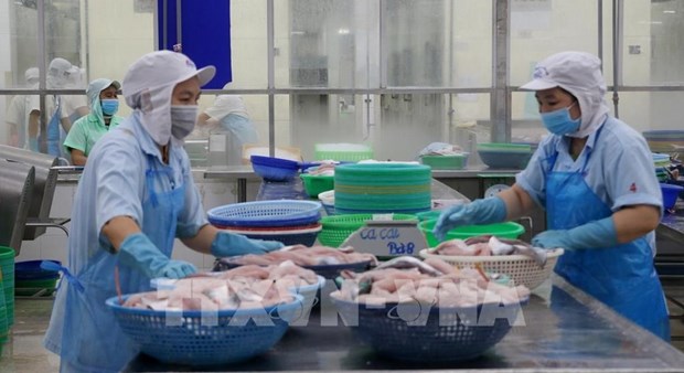 Vietnam’s aquatic product exports to China to grow this year official