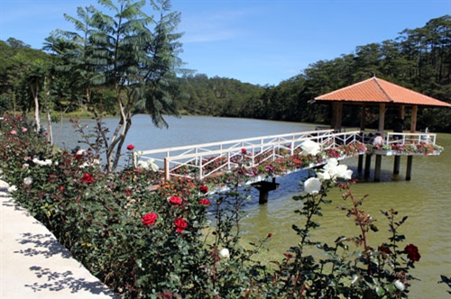 Ville de Da Lat - les fleurs multicolores