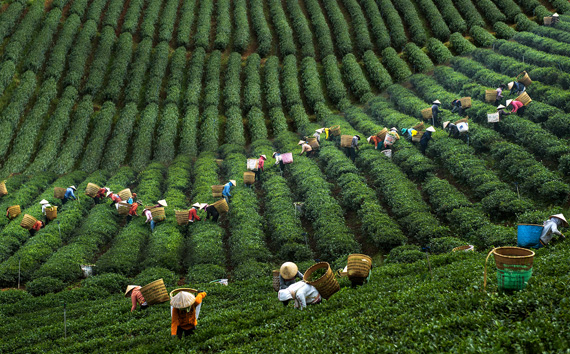 Le Vietnam à travers l objectif de Hoang Ngoc Thach