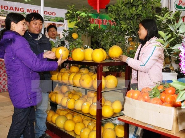 De nombreuses activités attrayantes à la Foire printanière de Giang Vo 2016
