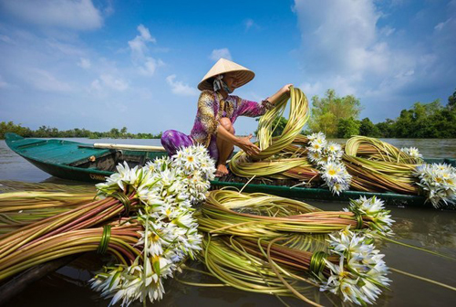 Concours de vidéos Le Vietnam dans mes yeux