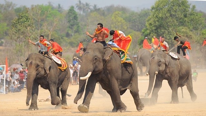 Dak Lak bientôt la Fête des éléphants de Buôn Dôn 2016