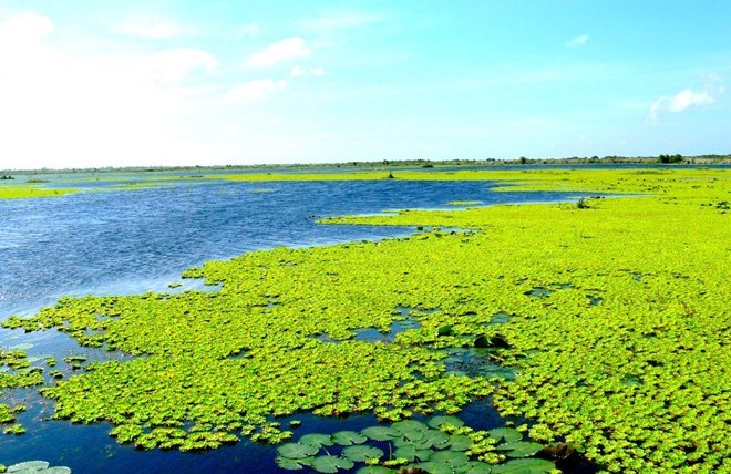 U Minh Thuong devient le 2 228e site Ramsar du monde