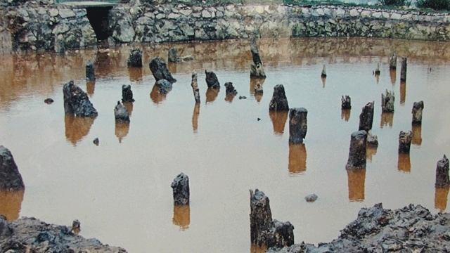 Préservation de la zone des vestiges historiques de Bach Dang