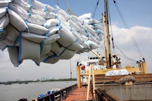 Le riz vietnamien pourrait être exporté en France