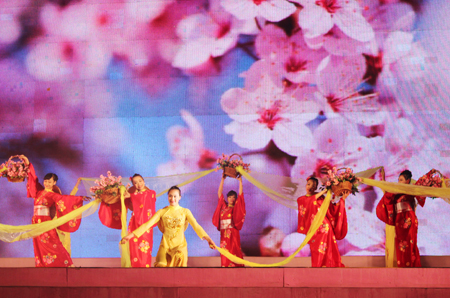 Quang Ninh est prêt pour la fête des fleurs de cerisier de Ha Long 2016