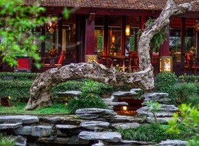 Festival des plantes ornementales et des animaux de compagnie à Hanoi