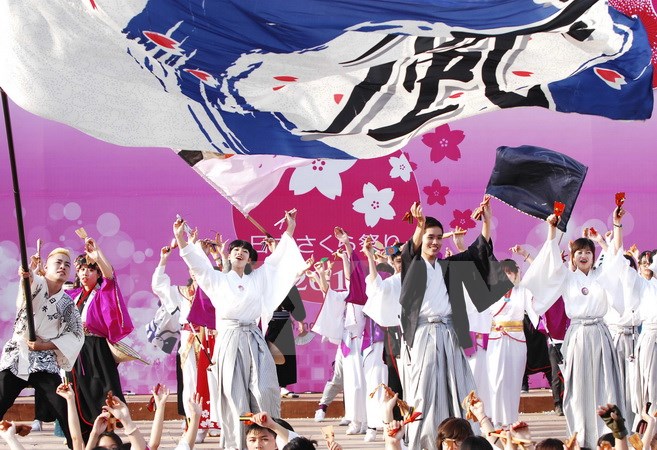 La coutume du Hanami célébré à Dà Nang - un espace s’imprégnant de l’ambiance japonaise