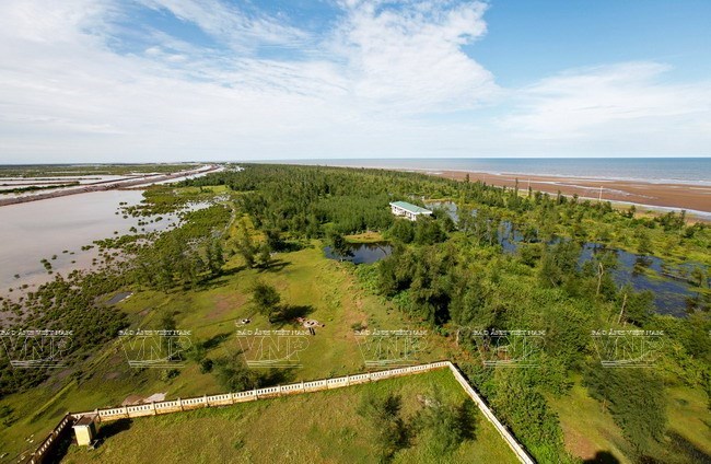 Le site touristique écologique de Con Vanh s’avère très attrayant