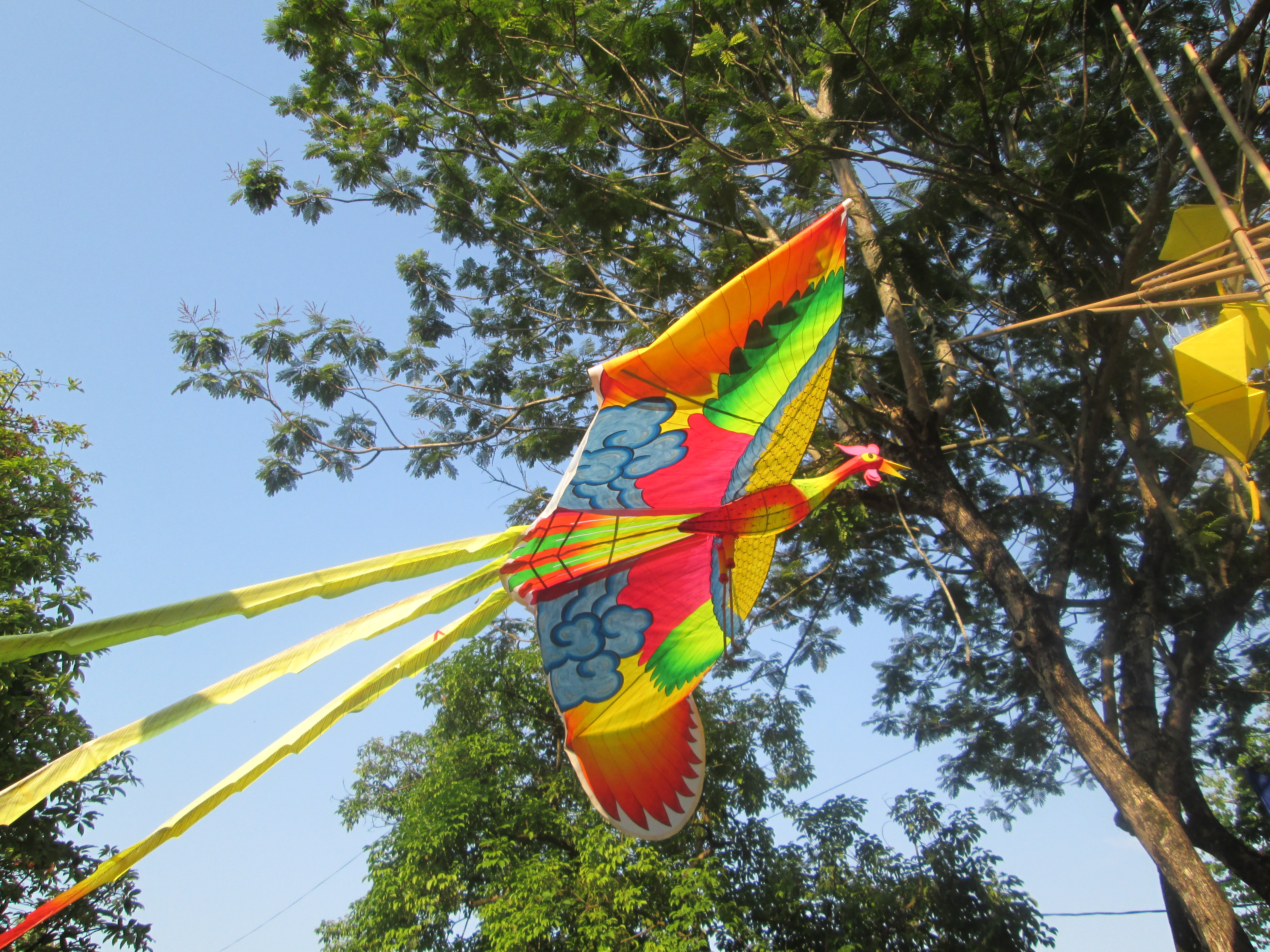 Exposition de cerfs-volants au Festival de Hue