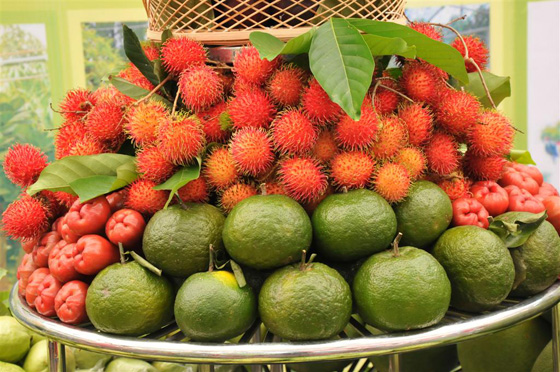Hô Chi Minh-Ville  bientôt la première semaine des fruits du Vietnam